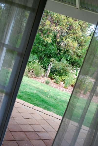 Llewellin'S Guest House Margaret River Kültér fotó